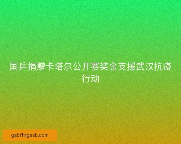 国乒捐赠卡塔尔公开赛奖金支援武汉抗疫行动