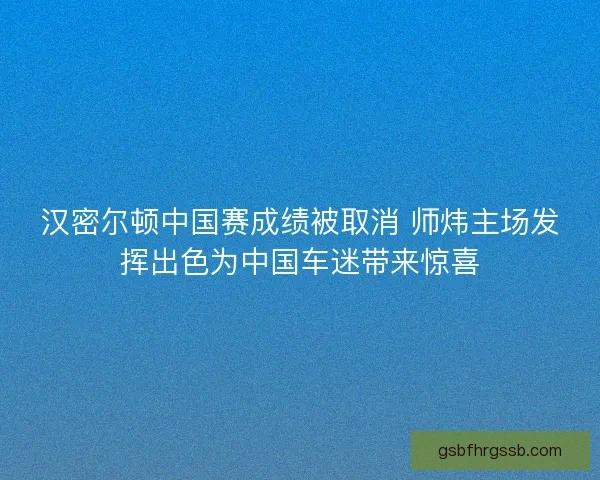 汉密尔顿中国赛成绩被取消 师炜主场发挥出色为中国车迷带来惊喜 汉密尔顿中国赛成绩被取消 师炜主场发挥出色为中国车迷带来惊喜