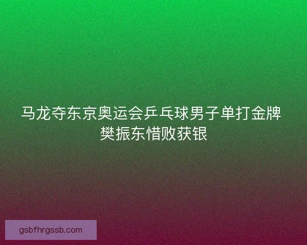 马龙夺东京奥运会乒乓球男子单打金牌 樊振东惜败获银 马龙夺东京奥运会乒乓球男子单打金牌 樊振东惜败获银